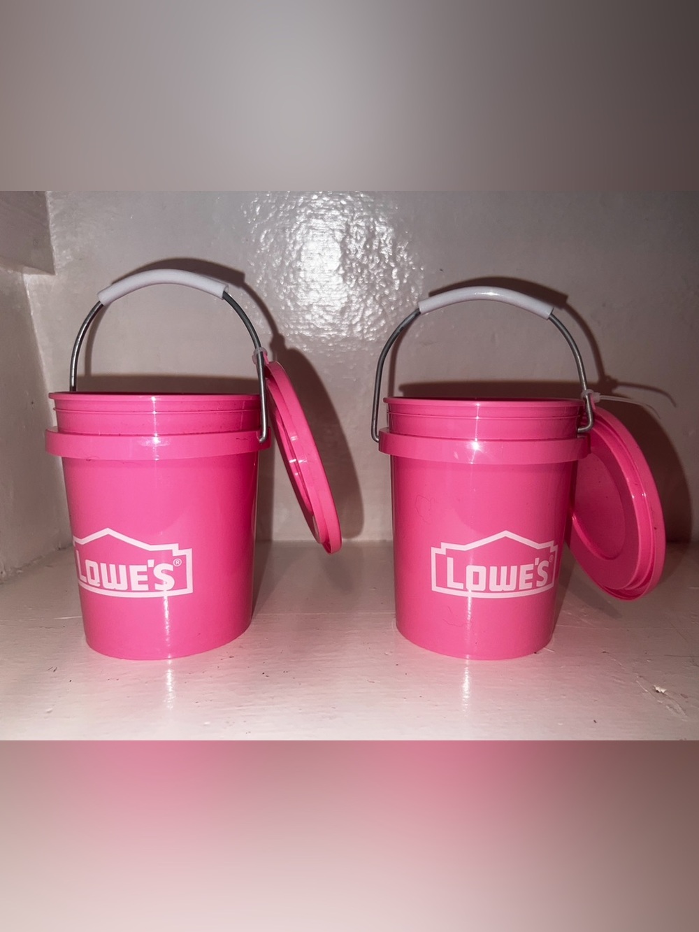 Viral Lowe’s Pink Mini Buckets with Lids (0.4-Quart) - Set of 2